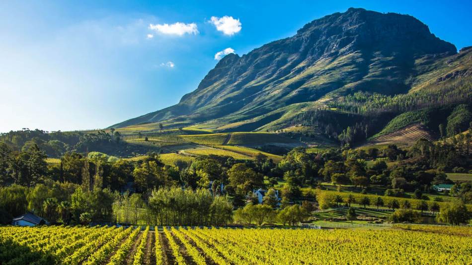 Cape Winelands is one of the Best Photography Spots in South Africa