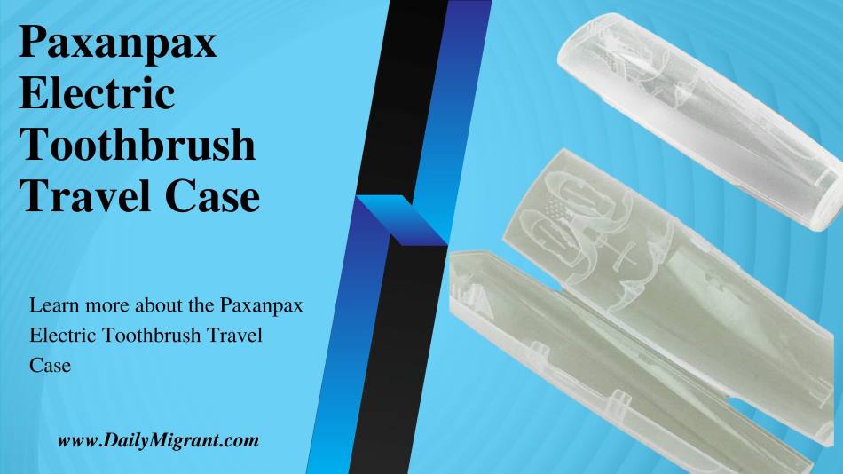 Paxanpax Electric Toothbrush Travel Case